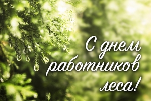 Уважаемые работники Березинского лесхоза, ветераны производства и представители лесоперерабатывающих предприятий района!