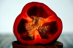 Способ для проращивания семян перца – не нужно стимуляторов