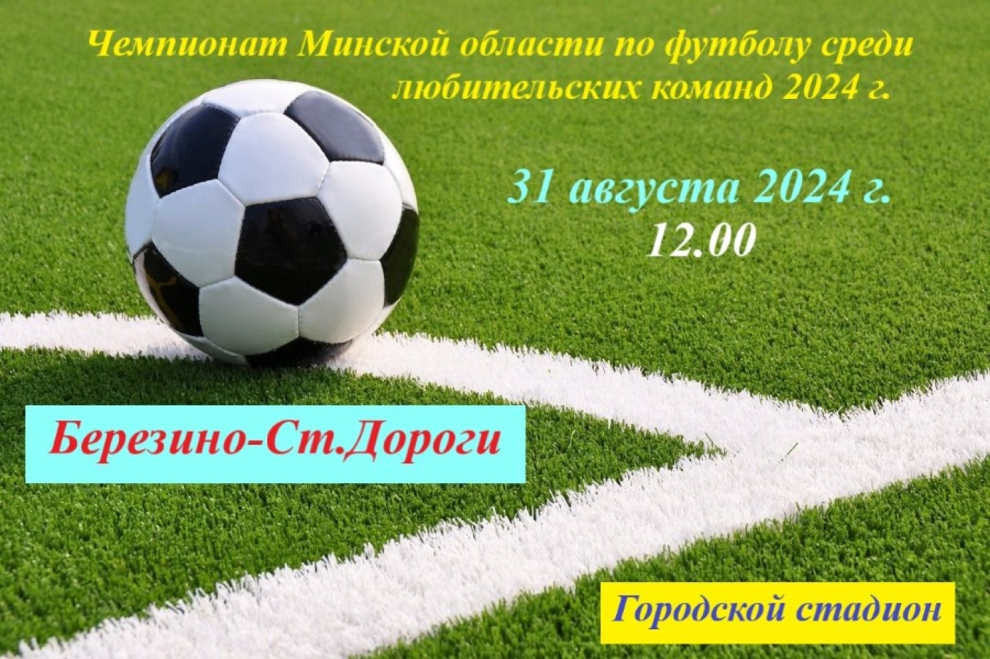 Чемпионат Минской области среди любителей