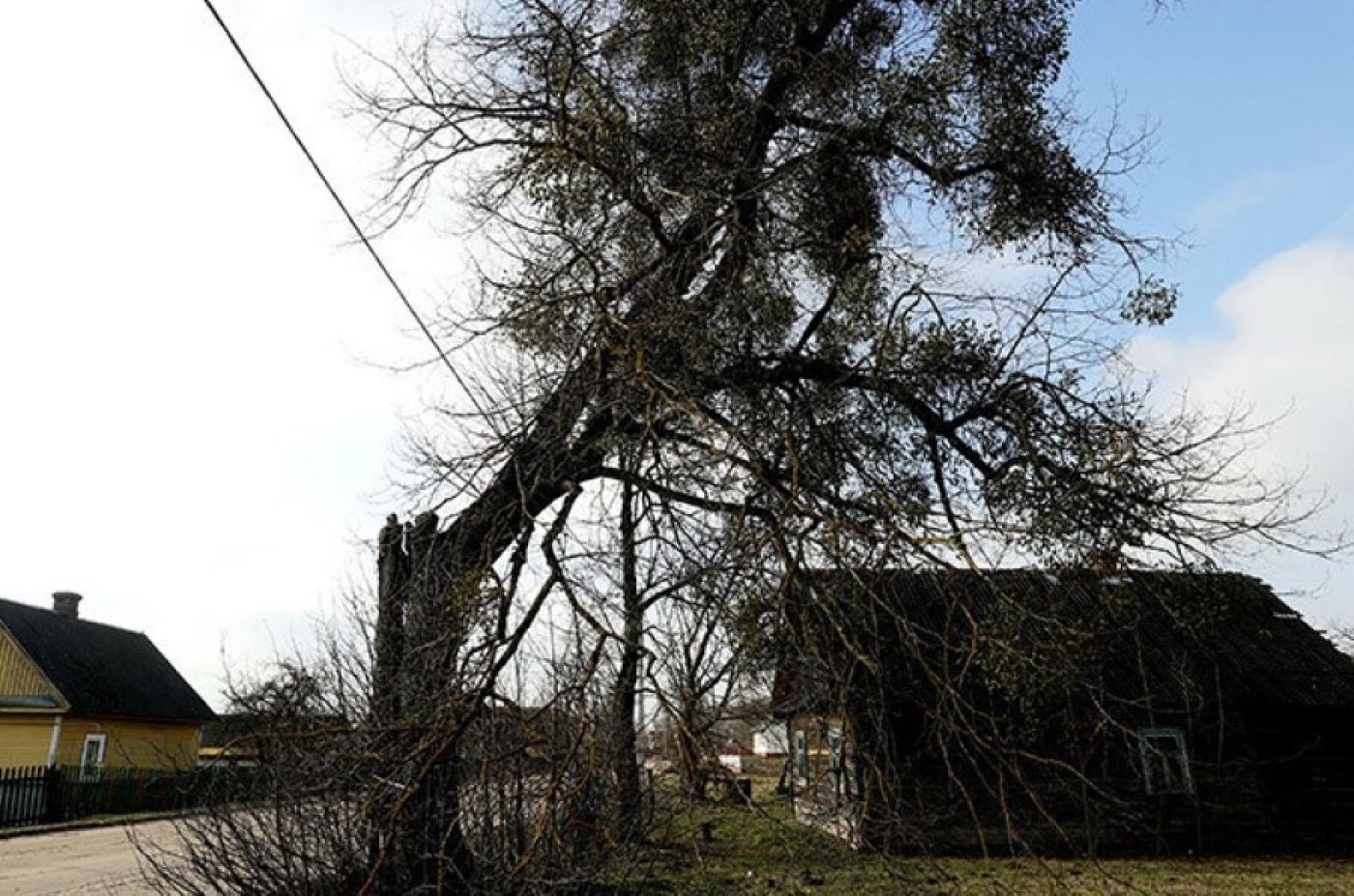 Госкомимущество: показатели по вовлечению в оборот пустующих домов на 2025 год увеличены на 25%
