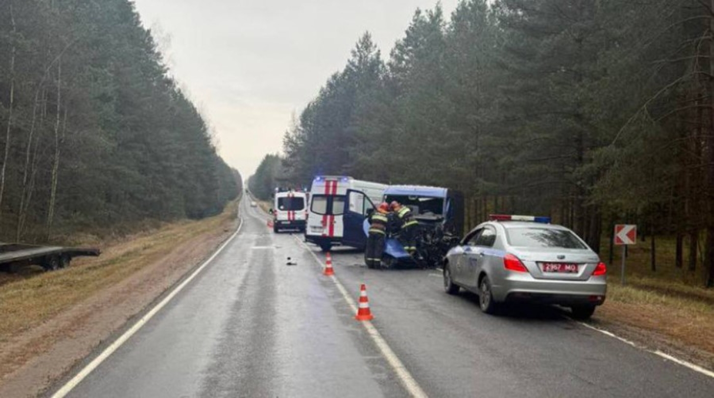 В Борисовском районе в ДТП c грузовиком погиб водитель легковушки