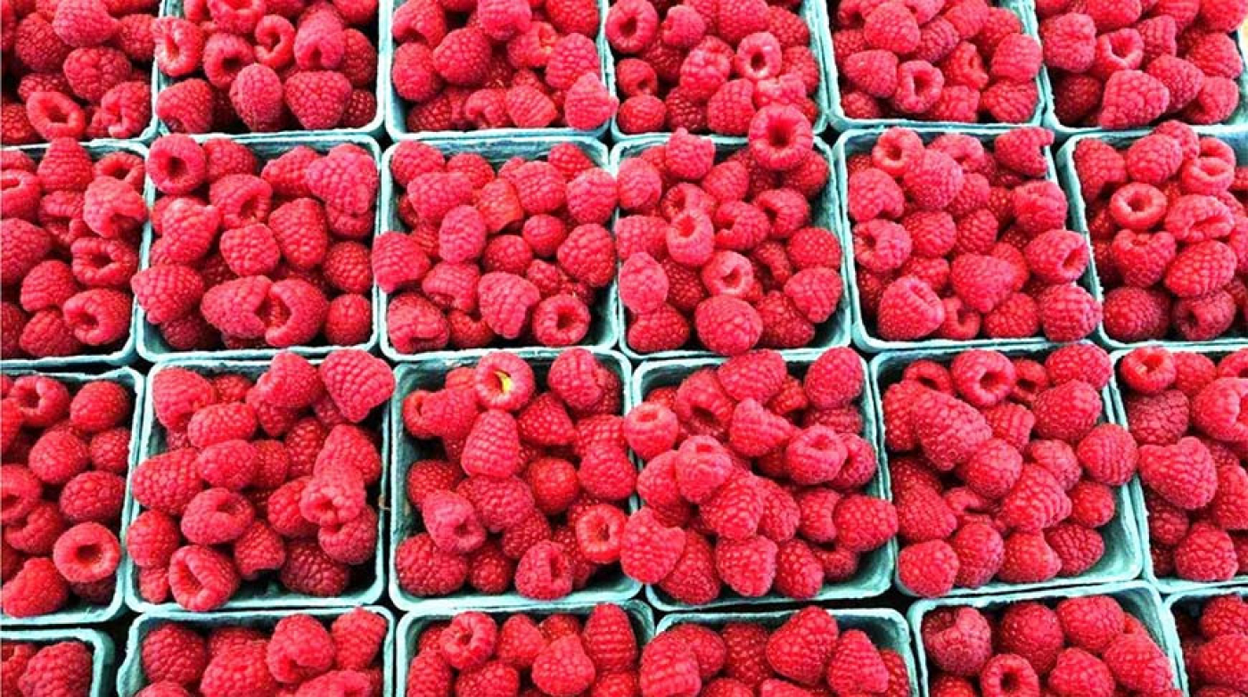 ГТК: около 19 т малины без документов и фитосанитарного сертификата пытались ввезти в Беларусь