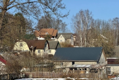 В деревне Минского района под картошкой нашли клад с монетами Речи Посполитой