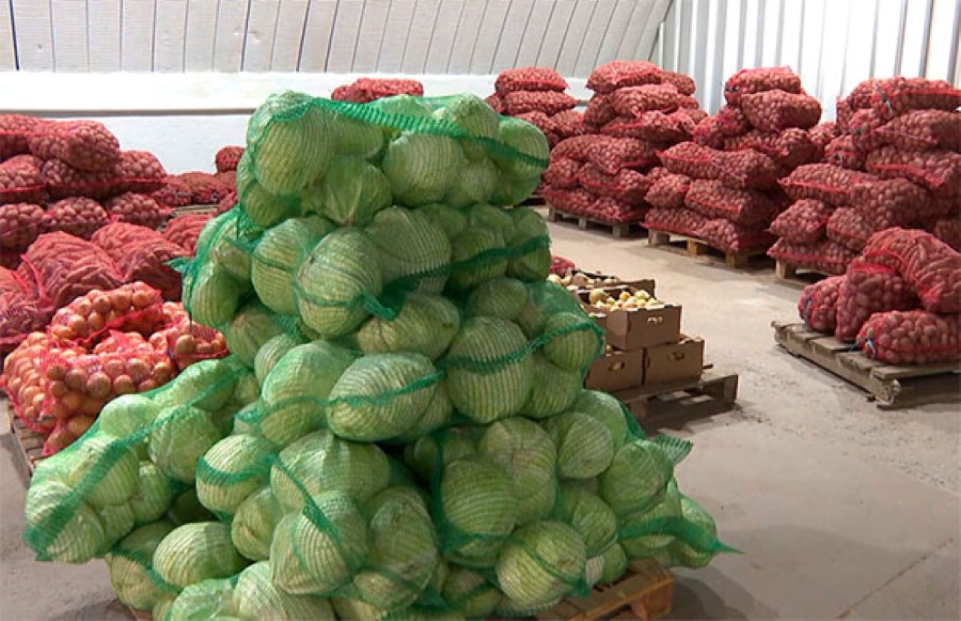 Сколько овощей заложено в стабфонды страны