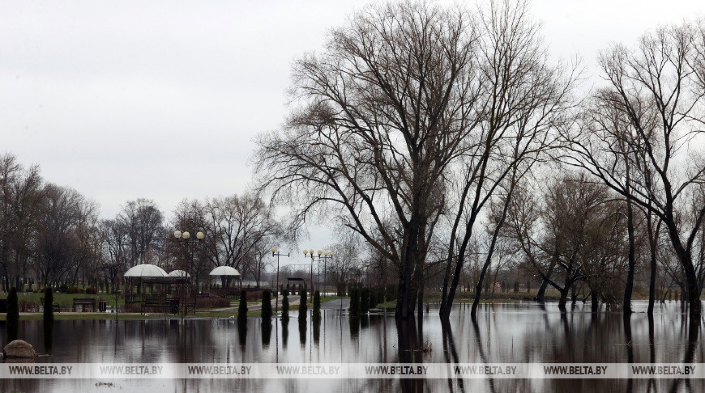 Уровень воды на реках Березина, Друть и Проня превысил опасные отметки