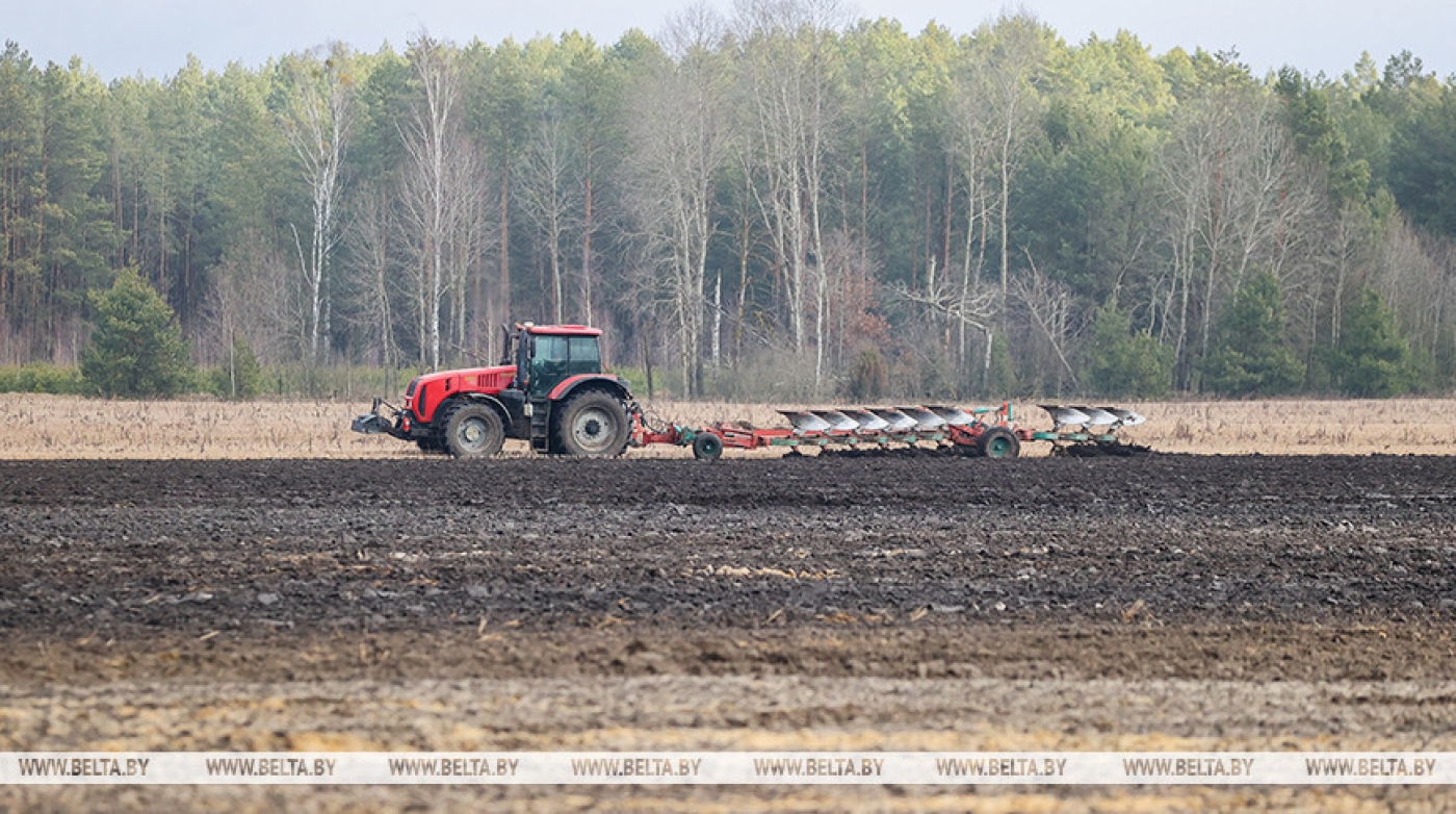 В Беларуси ранние яровые посеяли на площади около 8 тыс. га