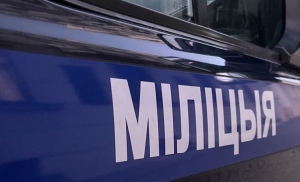 Лису с признаками бешенства обезвредили милиционеры в Брагине