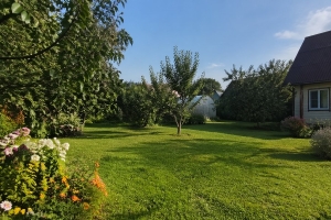 Перестаньте мучиться с сорняками: 2 таких выхода в огород весной — и он чистый до осени