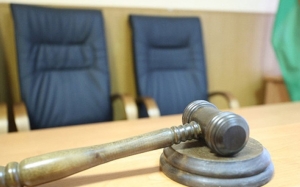 В Дятловском районе собака покусала женщину. Что постановил суд?