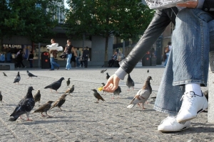 Белорусам грозит большой штраф за «доброе дело»: за что и какова сумма