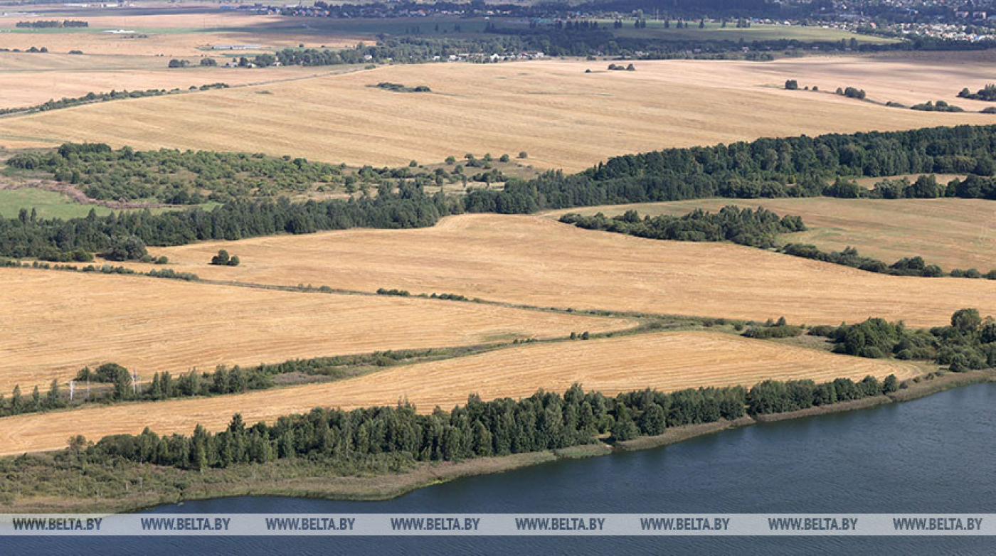 Лукашенко о мелиорации: вопрос сегодня стоит шире - нужна культура земледелия прежде всего