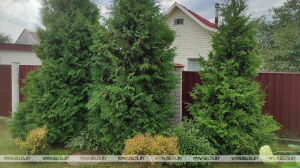 В Беларуси обновлен порядок ведения реестра цен на земельные участки