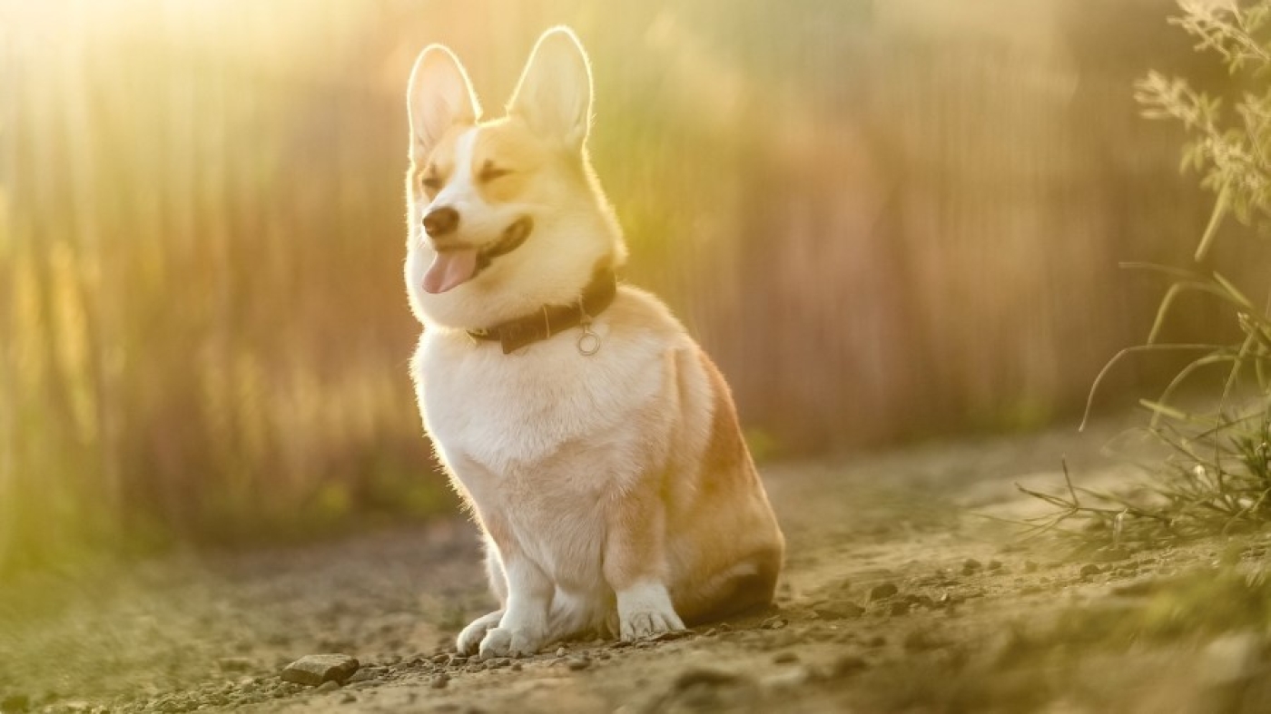 Погода в Беларуси 4 сентября: дожди, грозы и до +30 °С