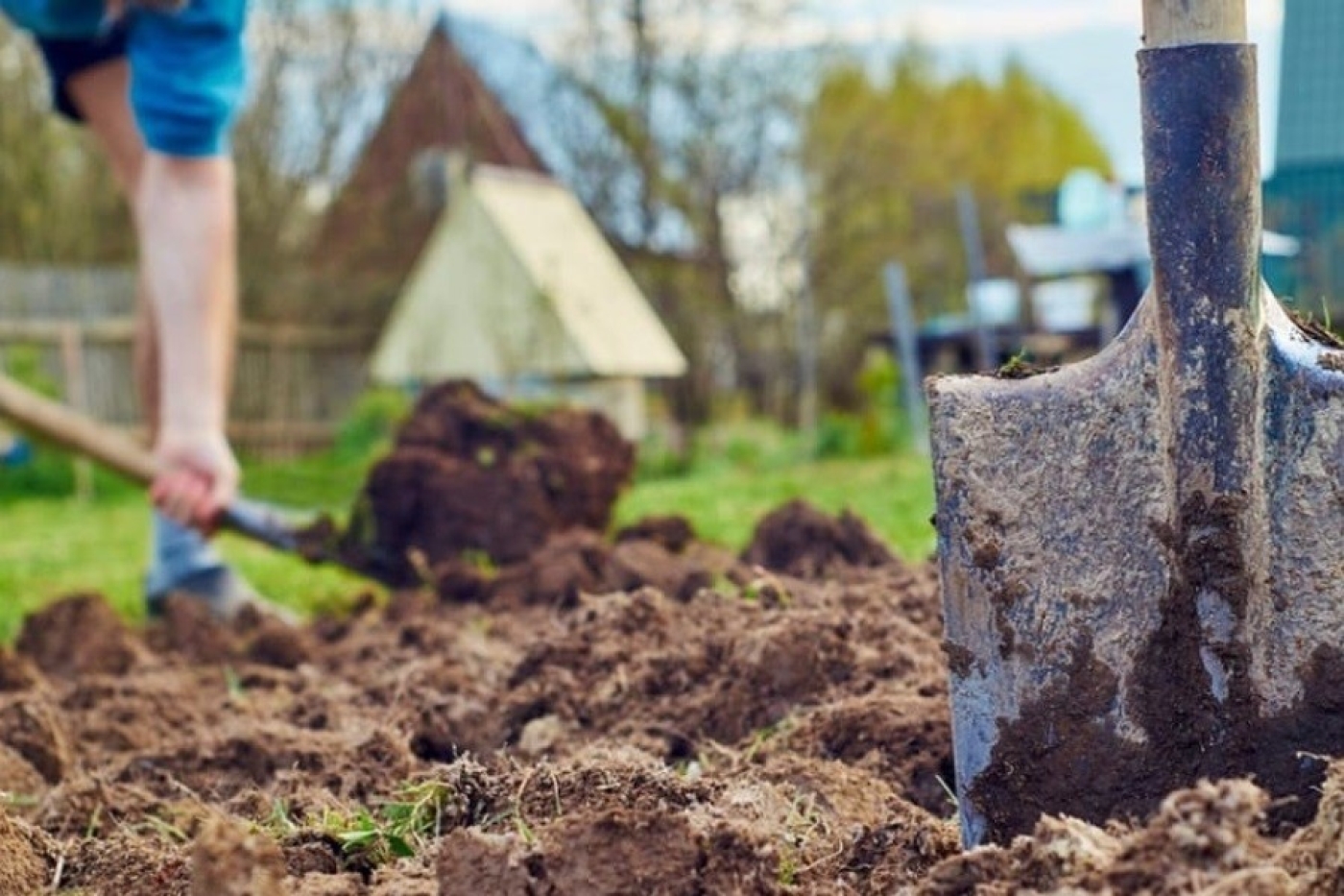 Не губите землю и будущий урожай: список подкормок, которые нельзя добавлять осенью