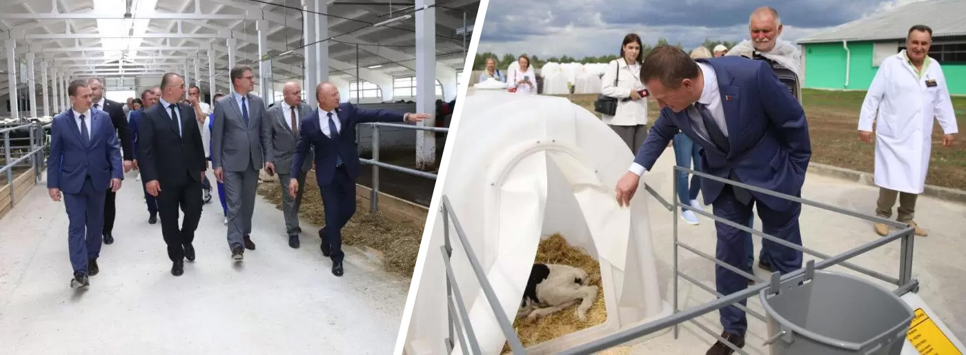 Развитие молочного направления в стране обсудили на новом комплексе в Борисовском районе