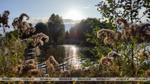 Белгидромет: средняя по Беларуси температура воздуха за октябрь была выше нормы на 2,1 градуса