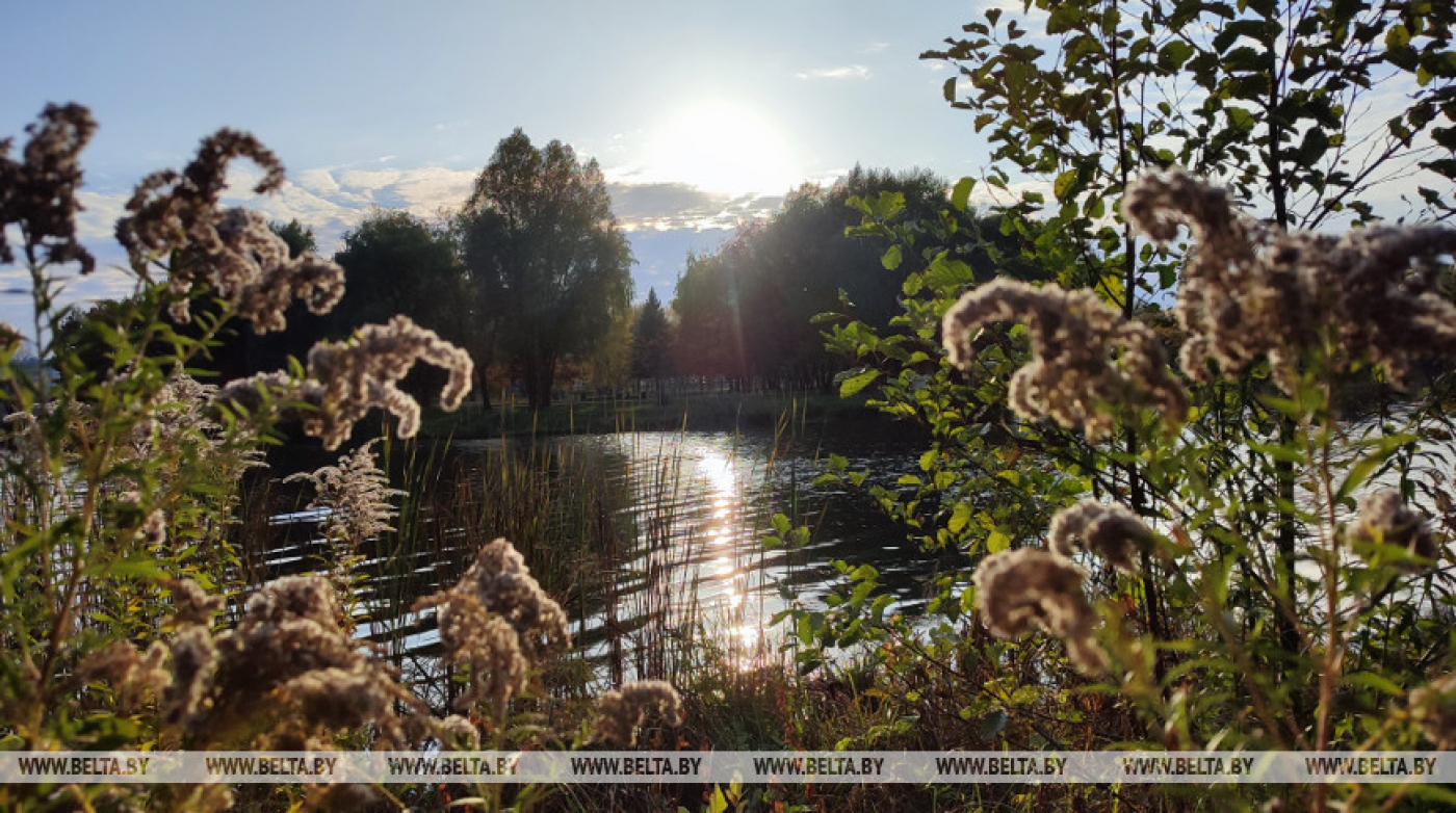 Белгидромет: средняя по Беларуси температура воздуха за октябрь была выше нормы на 2,1 градуса