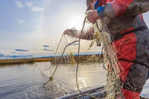 Добровольная сдача рыболовных сетей