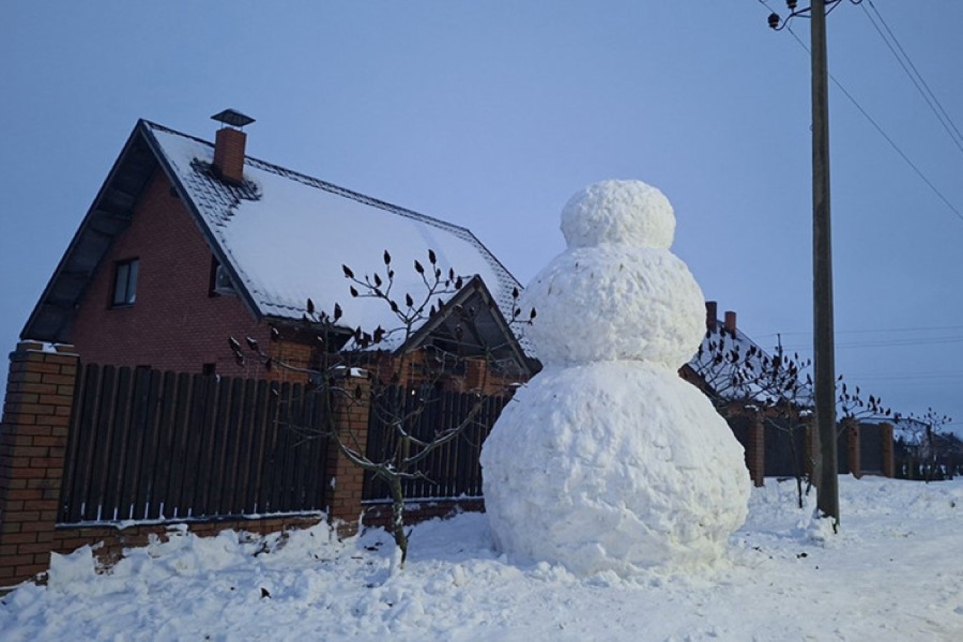 Снеговика в два человеческих роста слепили в Столинском районе