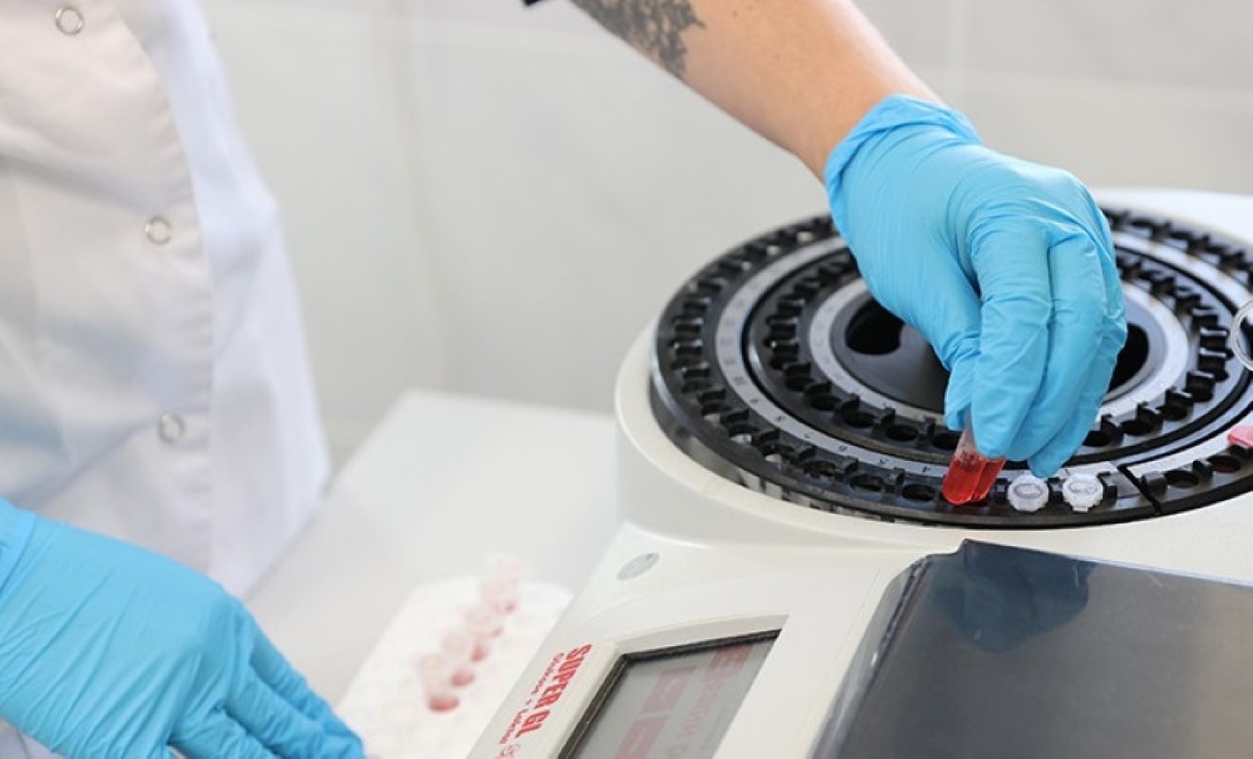 Проверили биоматериал более 40 тыс. человек. Как эксперты вычислили генотип могилевского маньяка