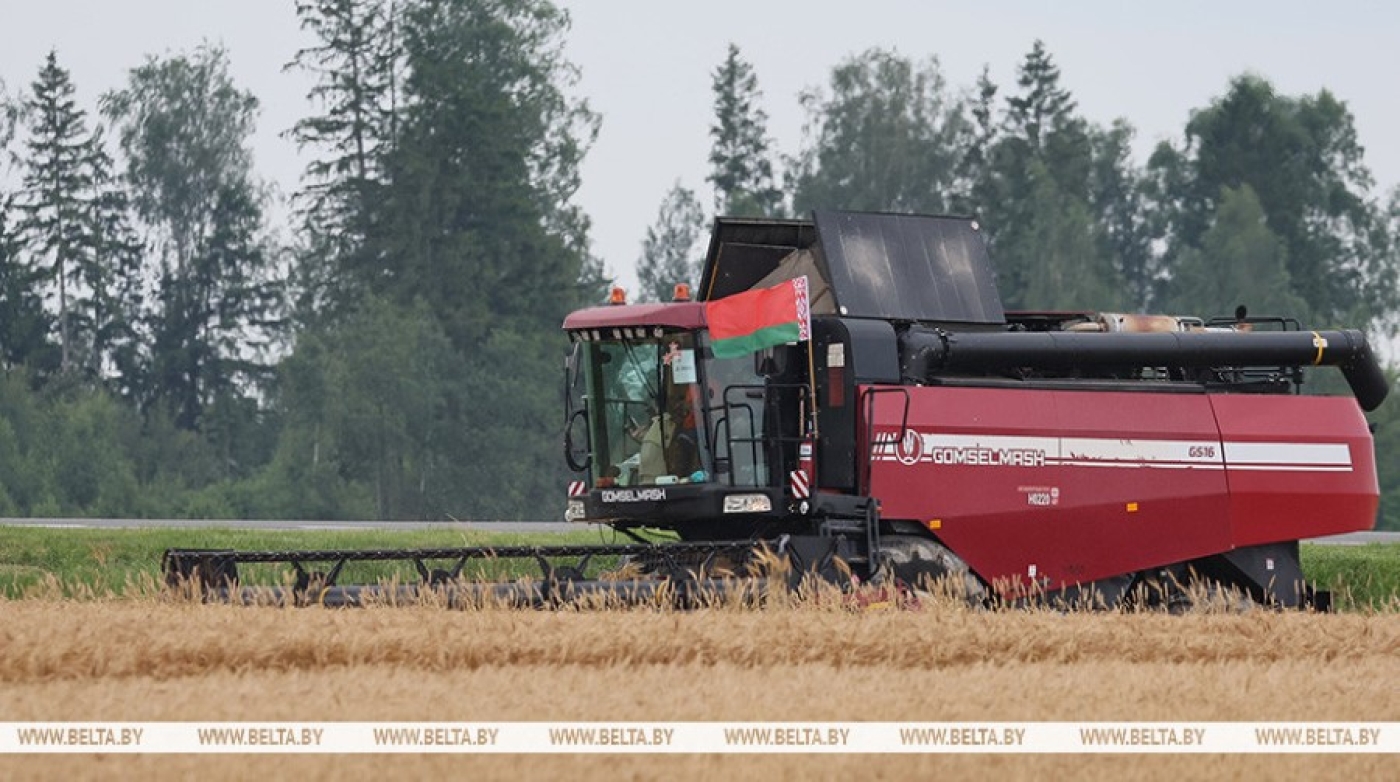 Лукашенко ознакомился с состоянием дел на агрокомбинате "Заря"