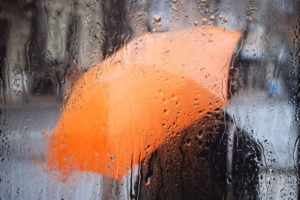 Погода в Беларуси 1 августа: дожди, местами грозы и от +9 °С до +25 °С