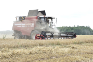 Лидеры жатвы на Березинщине