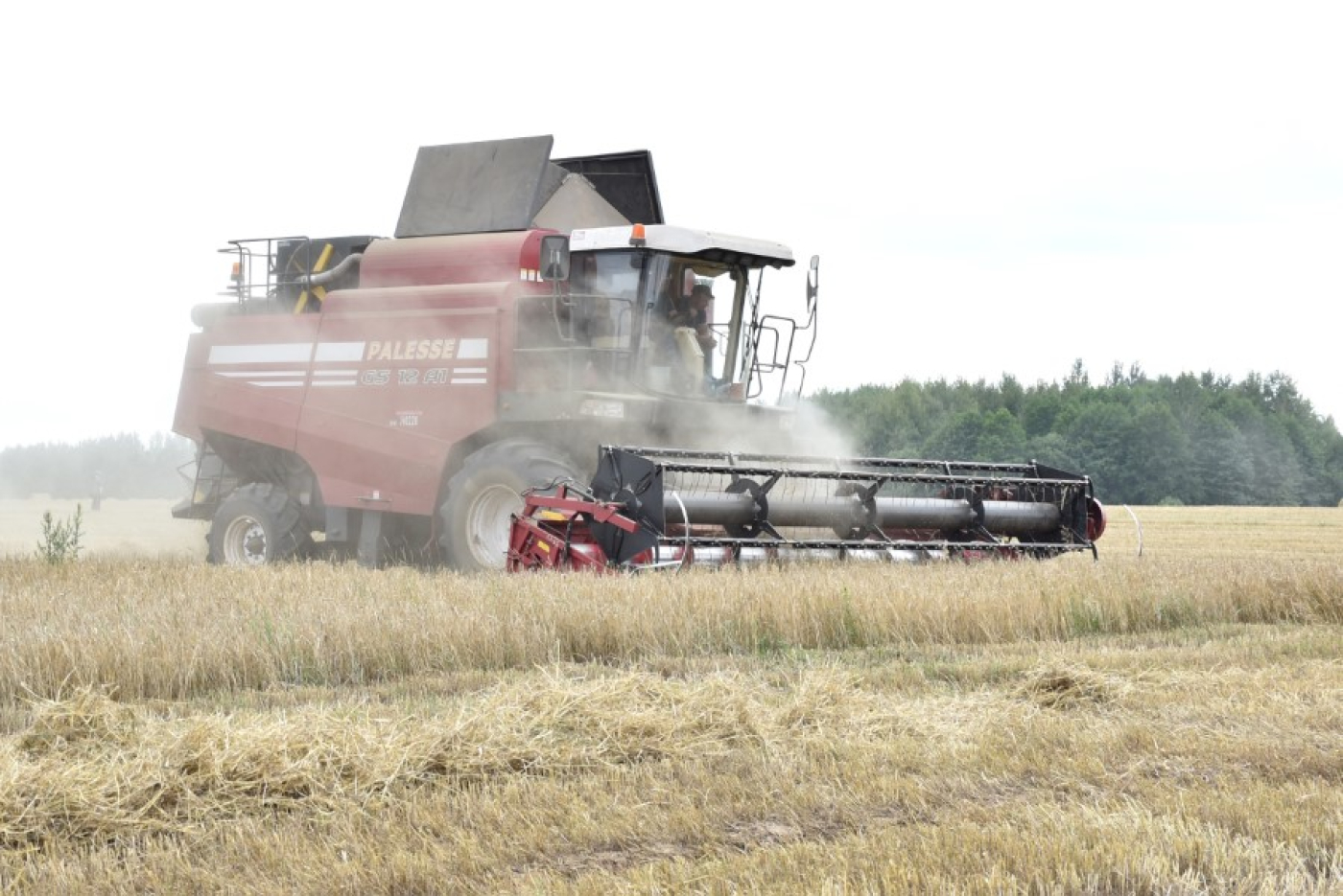 Лидеры жатвы на Березинщине