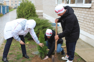 Совместный труд – совместная радость