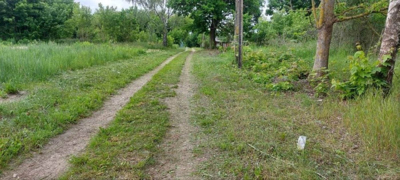 Растет трава у дома... В аг. Погост выполнена обкоска ул. Партизанской
