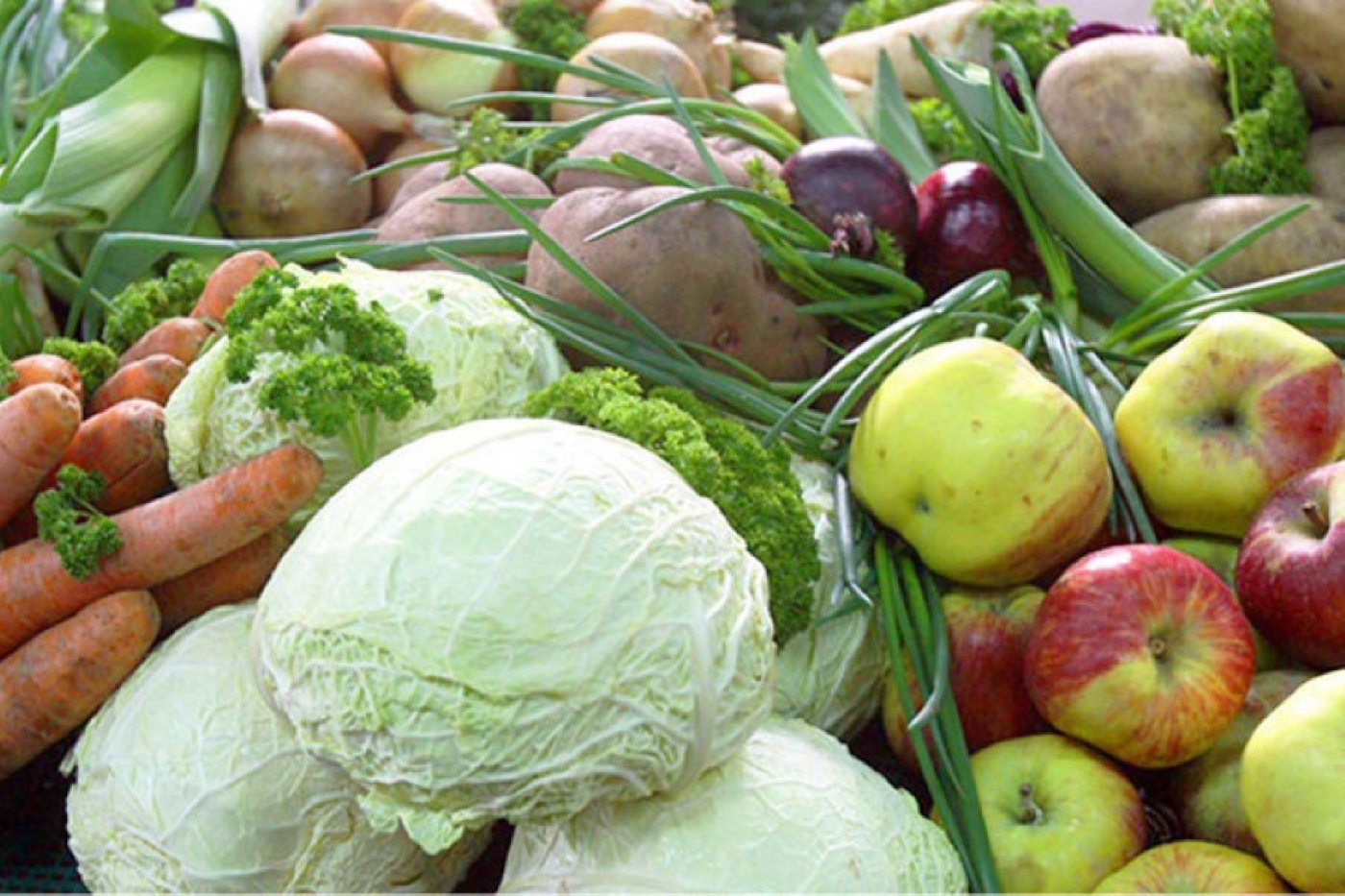 Сколько овощей заложил в стабфонды Белкоопсоюз?