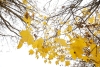 Зима уже близко? Рябов о погоде на неделю с 11 по 17 ноября