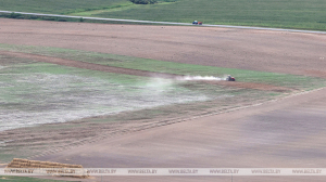 Белгидромет: ожидаемые к концу недели дожди улучшат агрометеорологическую обстановку