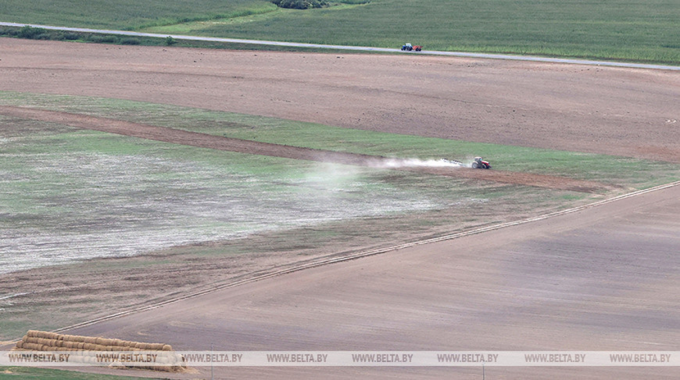Белгидромет: ожидаемые к концу недели дожди улучшат агрометеорологическую обстановку