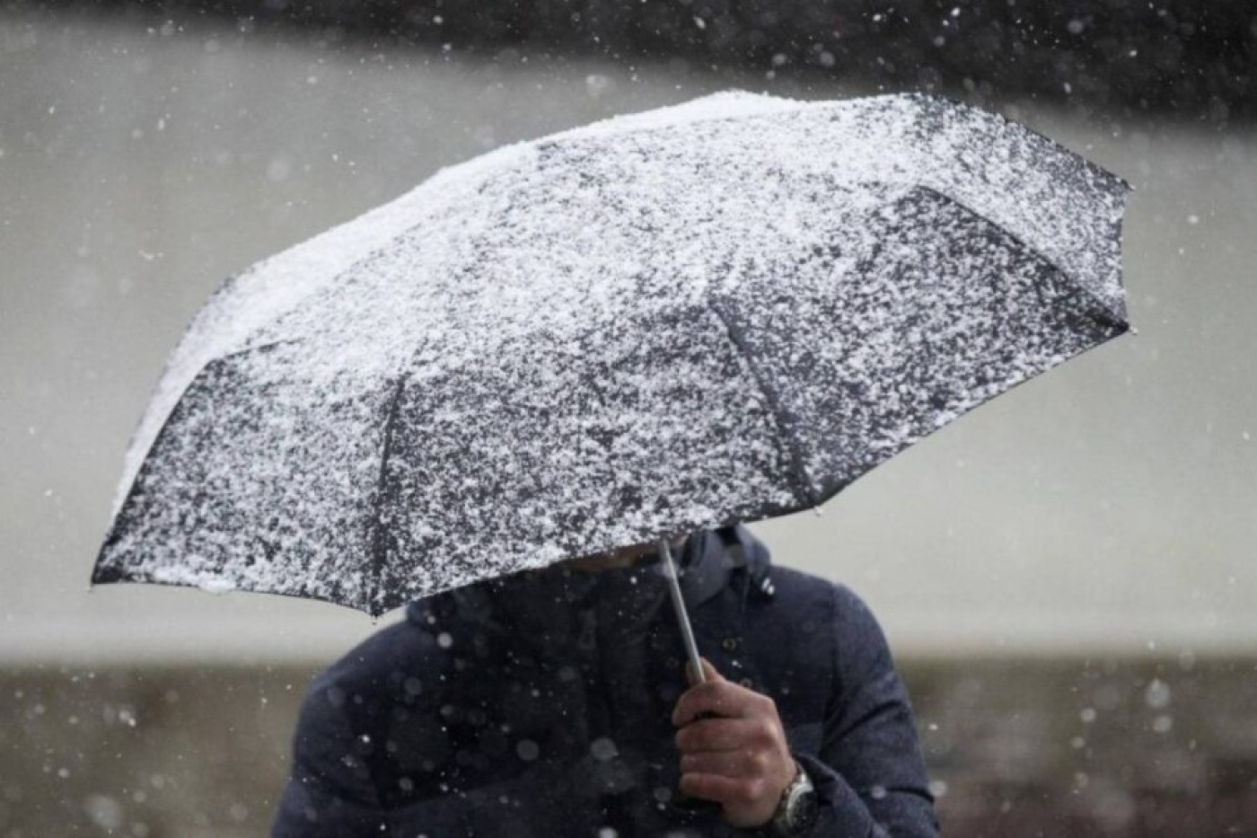 Погода в Беларуси 21 ноября: снег с дождем, туман, гололед и от –2 °С до +6 °С