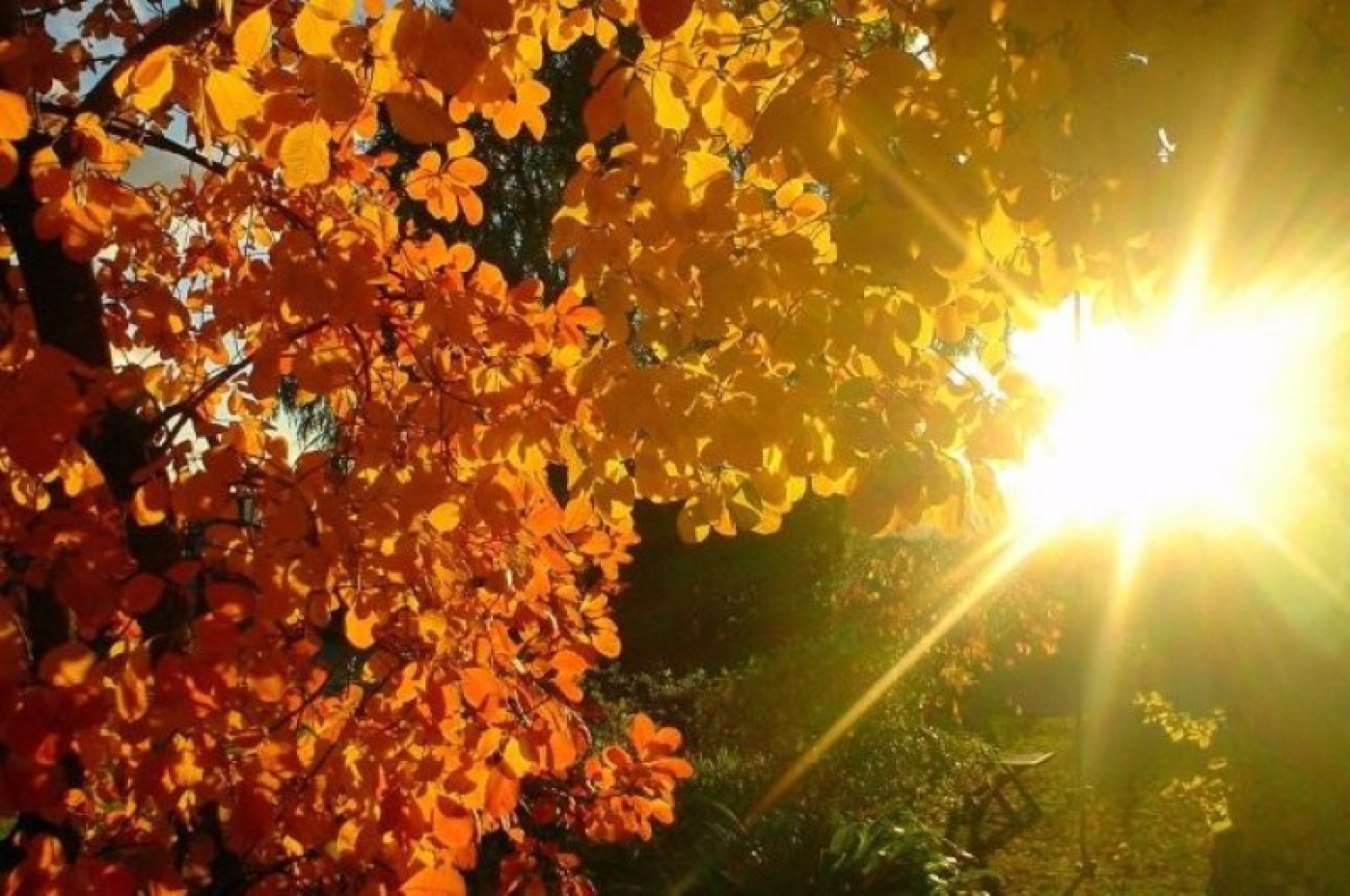 Чередование солнечных и дождливых дней, максимальная температура +30 °С. Рябов о погоде с 9 по 15 сентября