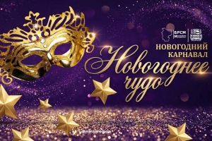 Новогодний карнавал для молодых специалистов Минской области пройдет в Вилейке