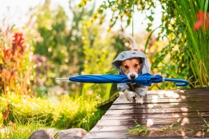 Дожди и грозы продолжают сопровождать лето. Рябов рассказал о погоде на неделе с 28 июля по 3 август