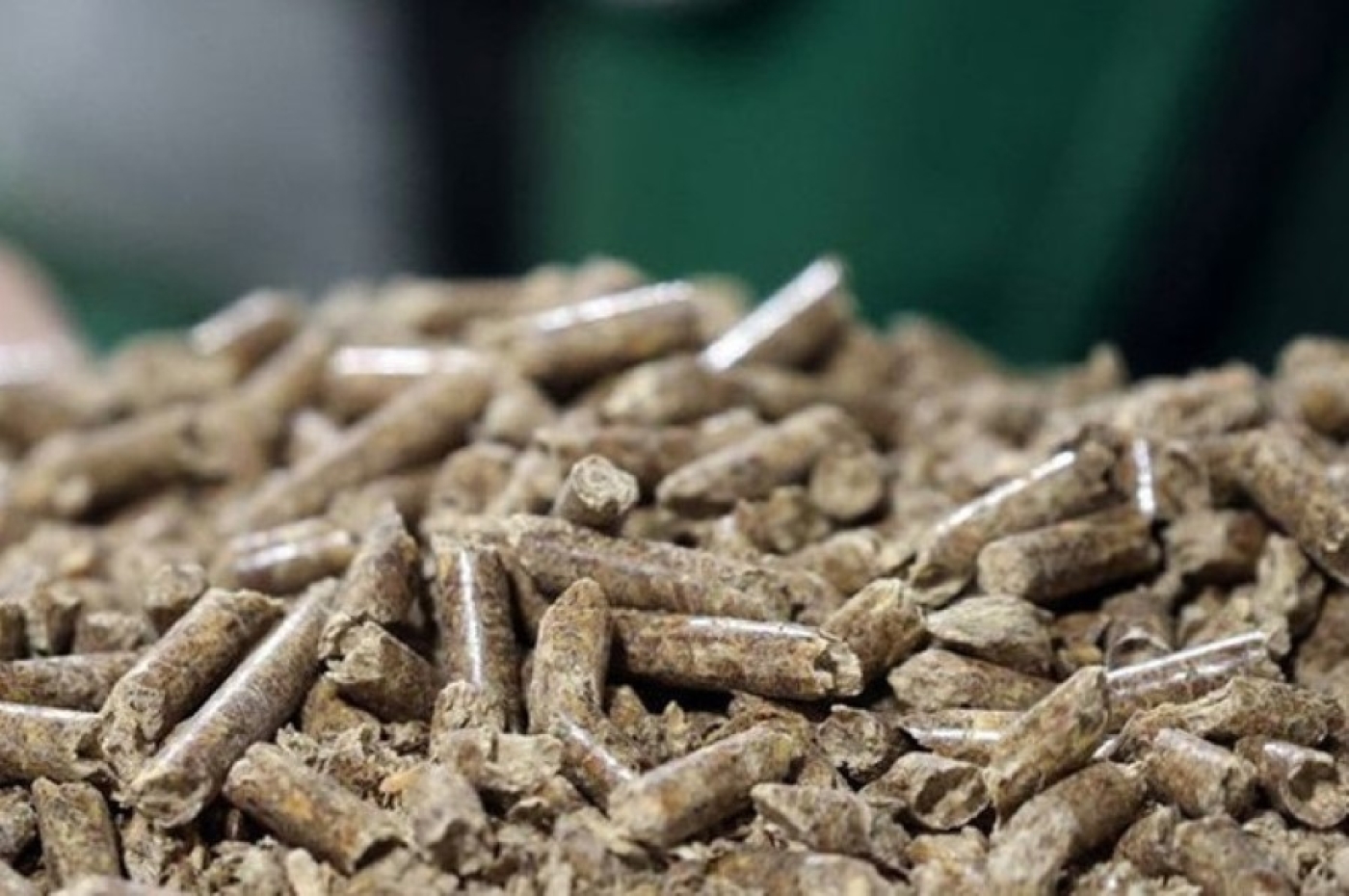 Беларусь может экспортировать до 900 тыс. тонн пеллет в год. Эксперт о плюсах топливных гранул