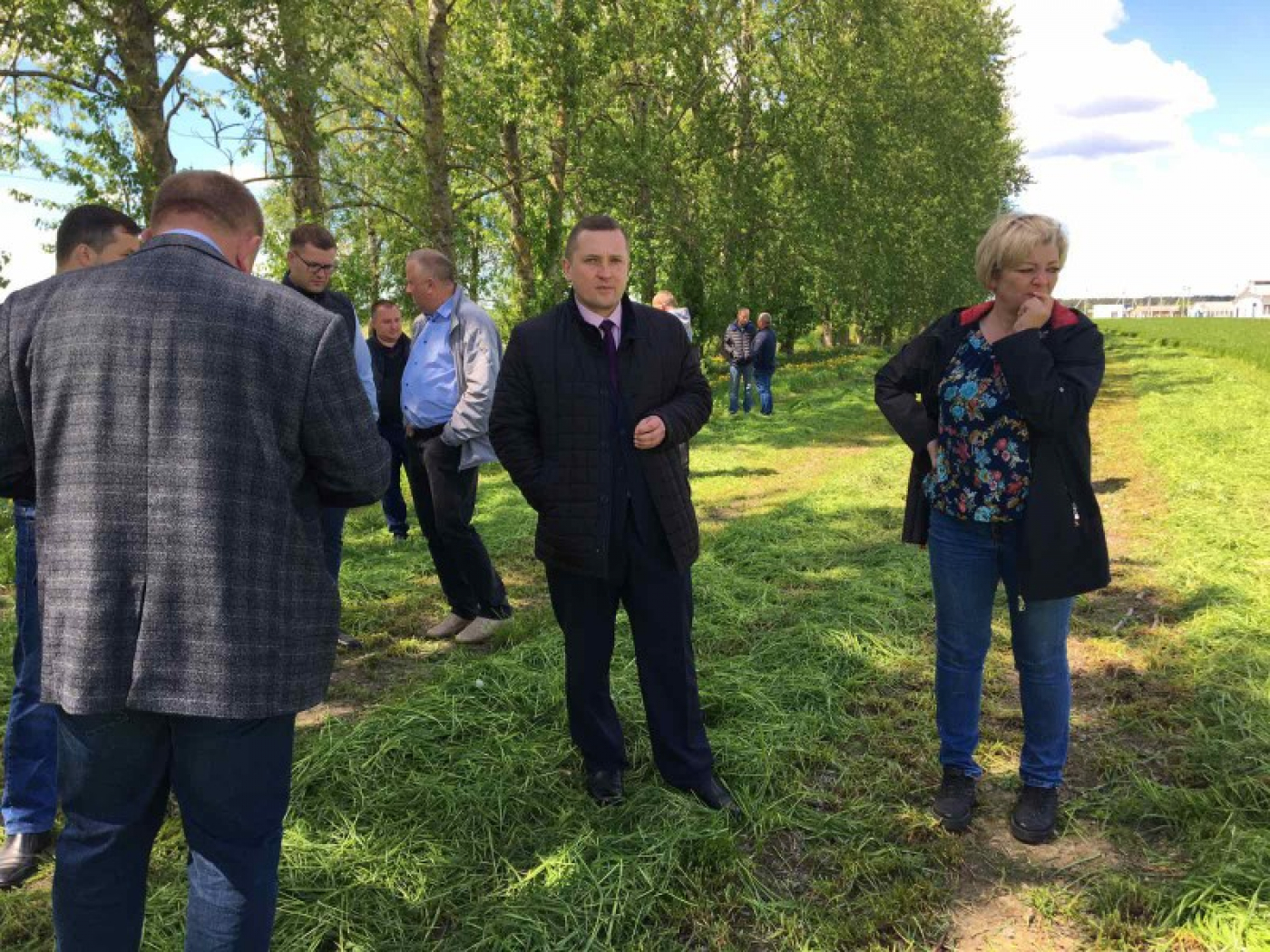 Аграрыі прыступілі да нарыхтоўкі кармоў