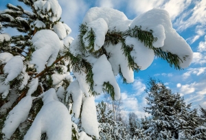 Белгидромет: морозы в Беларуси будут усиливаться