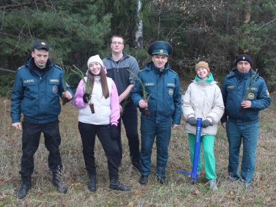 Поможем лесу!