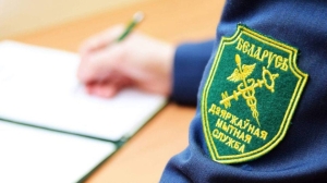 Нужно ли декларировать купленный за границей смартфон, пояснили в ГТК