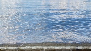 В водоеме в Березинском районе утонул мужчина