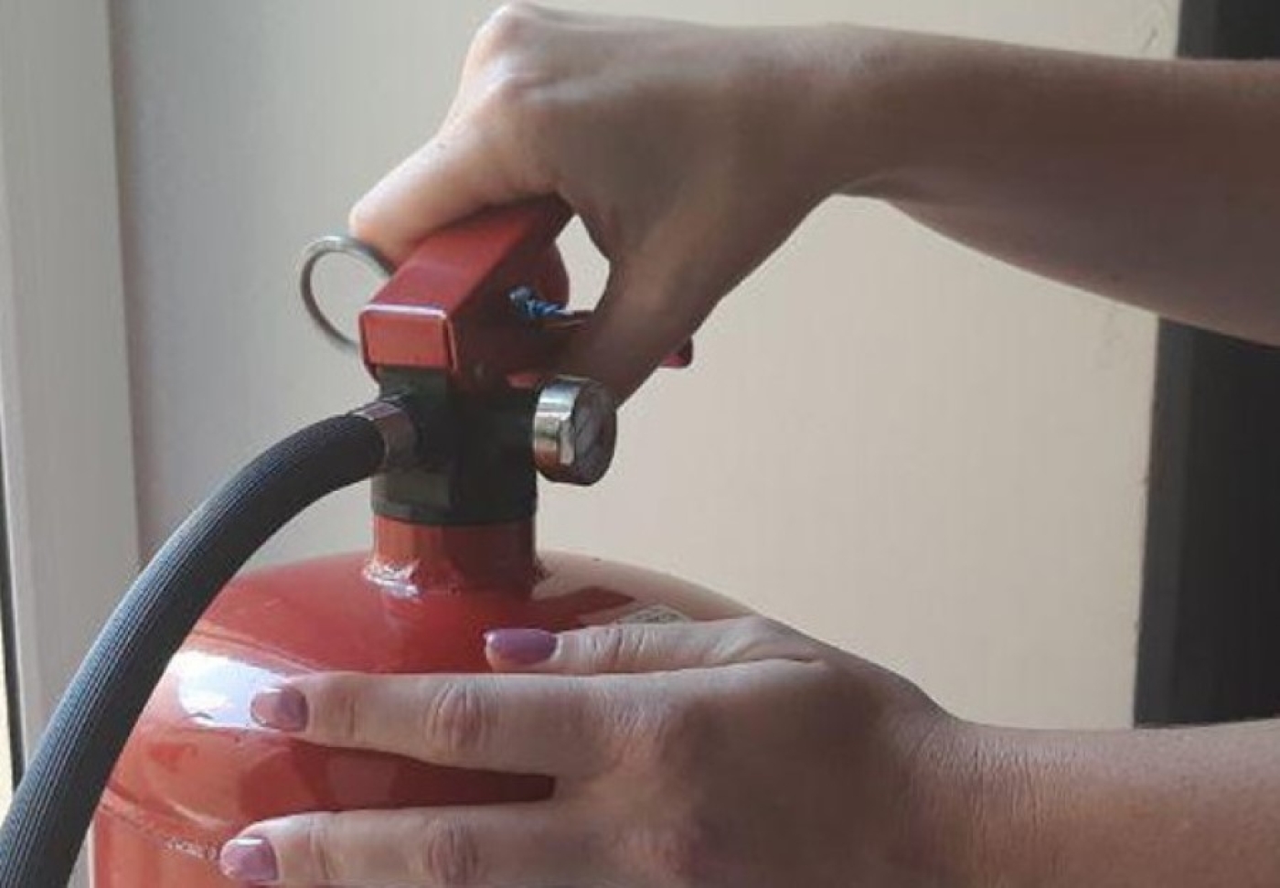 Какой огнетушитель лучше выбрать для дома или квартиры, рассказали в МЧС