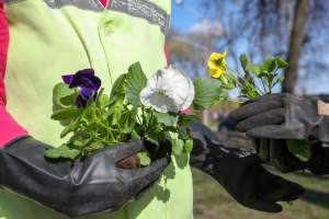 Благоустройство, ремонт, сувенирные изделия. Какие виды работ доступны подросткам