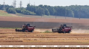 Как отечественные комбайны выдерживают уборку в сложных погодных условиях? Ситуацию оценил Лукашенко