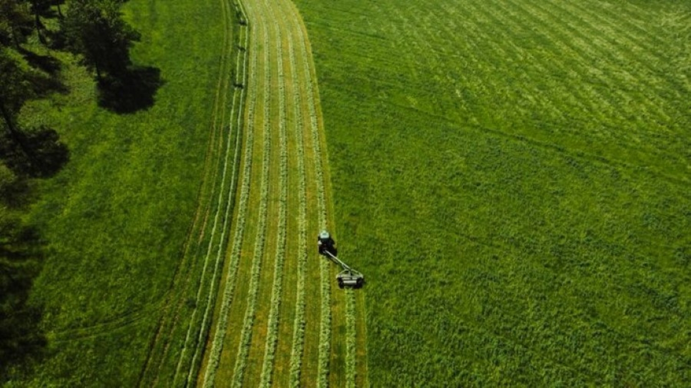 Аграрии 15 районов Гомельской области приступили к уборке озимого ячменя