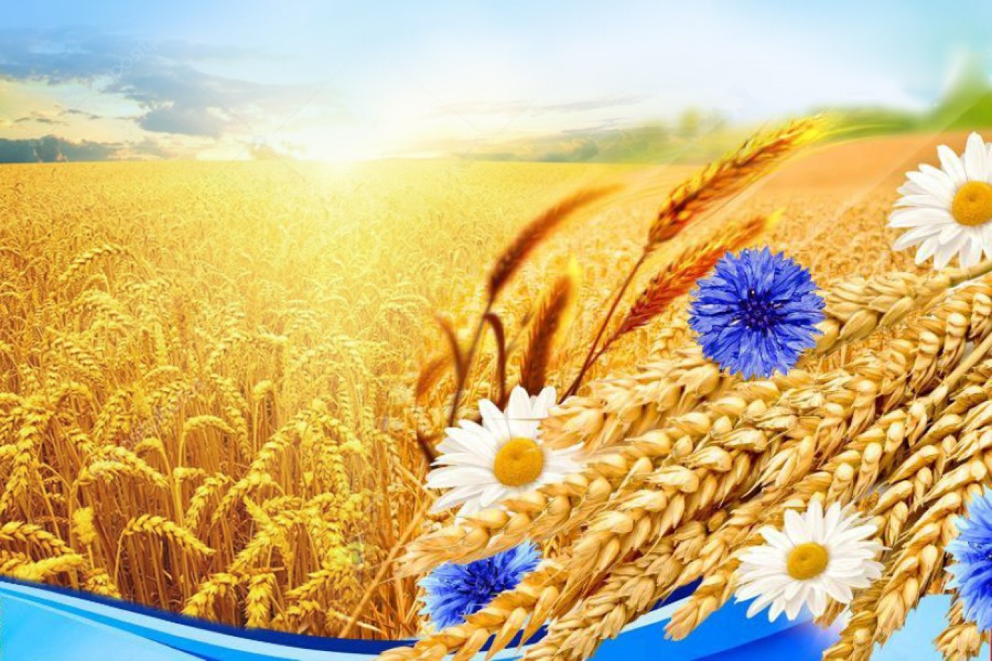 Уважаемые труженики агропромышленного комплекса Минщины!