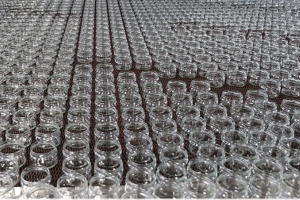 В Беларуси введено лицензирование вывоза отходов стекла